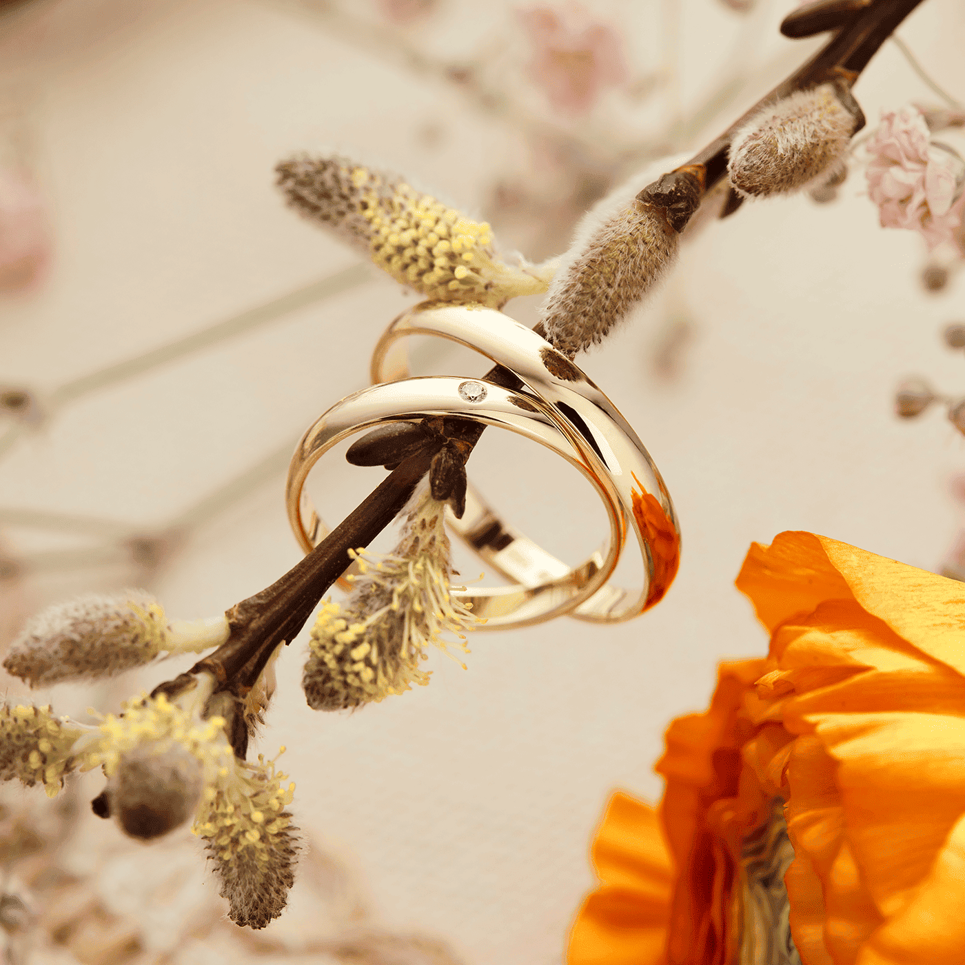 Trauring 585er Gelbgold Mainz